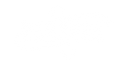 Paradox Props and Prosthetics logo