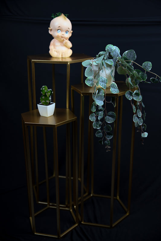 Gold Plant Stands