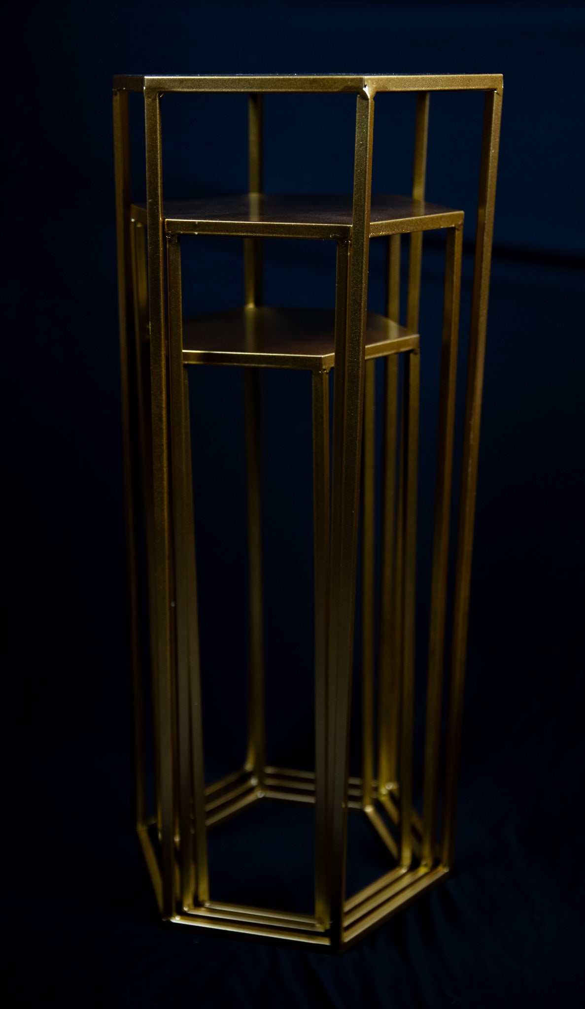 Gold Plant Stands