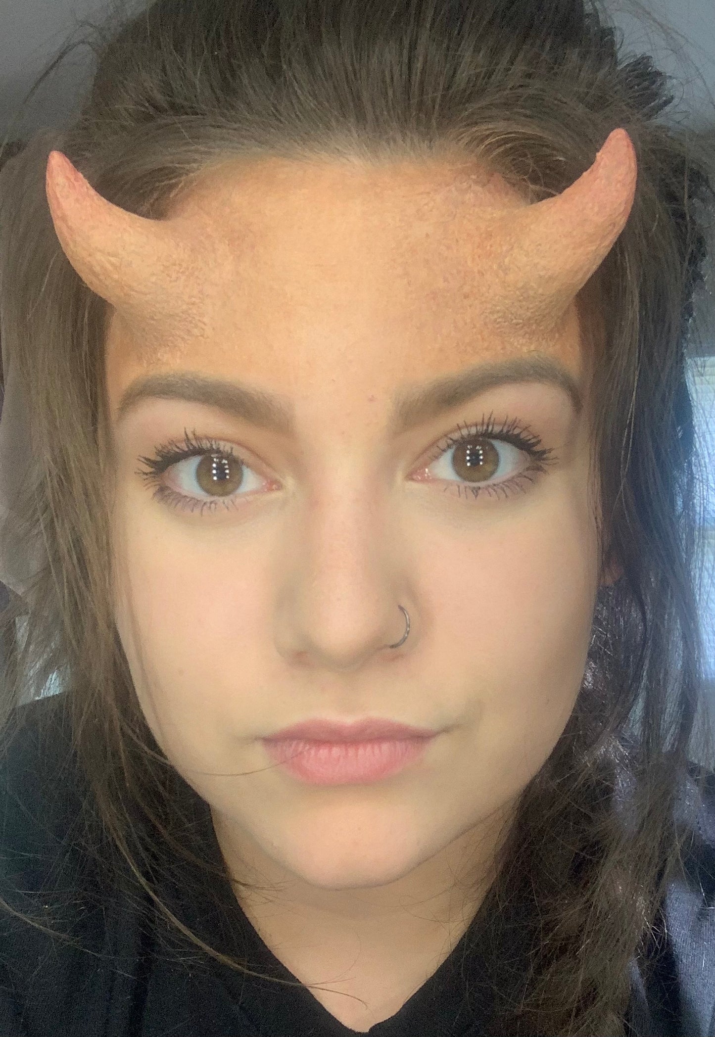 Horns